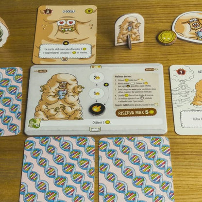 Evolversi Male - BarbascuraX